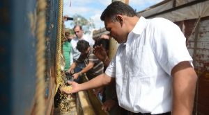 Repunta producción de soya en Yucatán