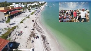 Plan de recuperación de playas rinde frutos en Yucatán