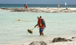 Fortalece Remberto Estrada acciones de limpieza de playas en Cancún