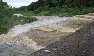 Reporta PC siete colonias afectadas en Álamo por incremento en nivel de arroyo