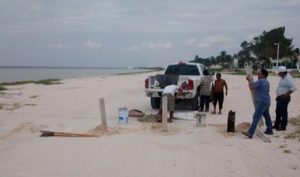 Impone PROFEPA medida de urgente aplicación para proteger anidación de Tortugas en Yucatán