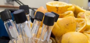 Científicos emprendedores le sacan jugo a la naranja