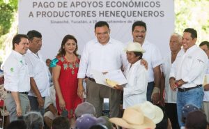 Siembra de henequén, con futuro garantizado en Yucatán