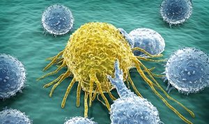 Crean nanopartículas que eliminan células cancerígenas