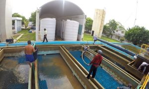 Agua potable en Centro cumple con NOM 127; trabajos por turbiedad aumentan hasta 400%