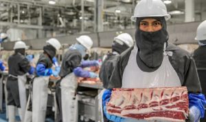 Concreta México negociación para exportar carne de res a Emiratos Árabes Unidos
