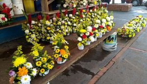 Incrementa en Tabasco, precio de flores previo a Día de Muertos