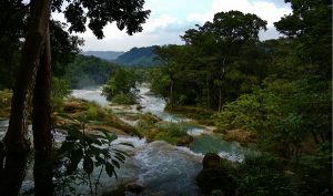 Registran Cascadas de Agua Azul recuperación del 100 por ciento de su flujo de agua original