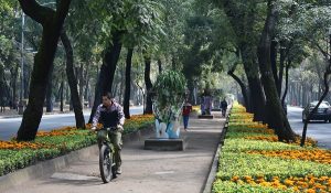 CDMX macetas monumentales embellecen avenida Paseo de la Reforma