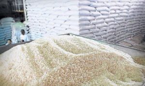 Campeche a la vanguardia en producción de arroz