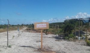 Clausura PROFEPA 9.9 hectáreas cambio de uso de suelo sin autorización en Telchac Puerto, Yucatán
