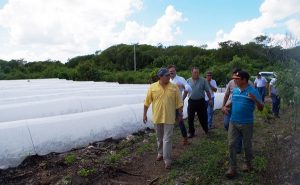 Impulsa CONAGUA la modernización de las unidades de riego en Yucatán