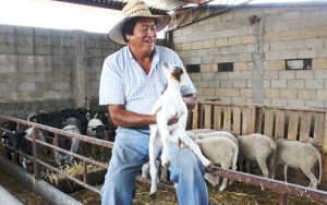 La caprinocultura en México