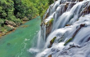 Montes Azules, una de las zonas con mayor diversidad genética de México