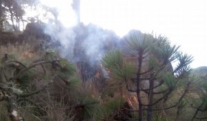 Incendio consume 5 hectáreas en el volcán Pico de Orizaba