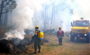 Controlado el incendio en Pico de Orizaba: CONAFOR