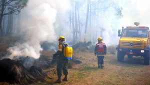 Reportan cuatro incendios en faldas del Pico de Orizaba