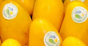 Los productos orgánicos en la México Alimentaria 2017, harán gala de naturalidad