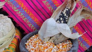 México Alimentaria 2017 Food Show: Agricultura, el campo a tu alcance