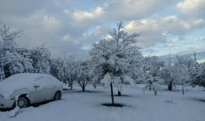 Nevadas en sierras de Sonora, Chihuahua y Durango por tormenta invernal: SMN