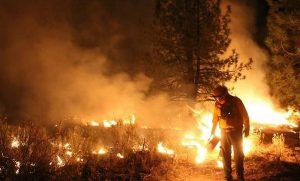 Incendios forestales y cambio climático, calentamiento global: SEMARNAT