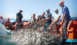 Se promoverá en Campeche la pesca artesanal