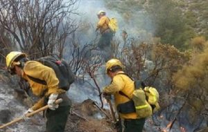 Temporada de incendios forestales y su impacto