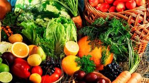 Consumo de cítricos y verduras favorecen la salud durante el invierno: Nutrióloga