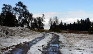 Frío intenso y nieve en Pico de Orizaba, Cofre de Perote y la Sierra Negra: SMN
