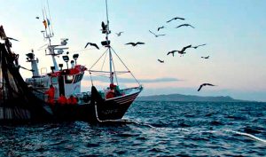Impulso a la sustentabilidad con la organización del sector pesquero: SAGARPA