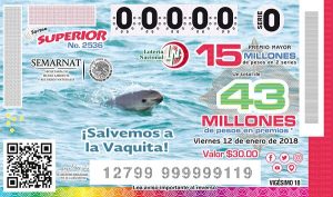 Emite Lotería Nacional boleto con imagen de Vaquita Marina
