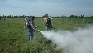Beneficios a la Agricultura por campañas fitosanitarias en Campeche