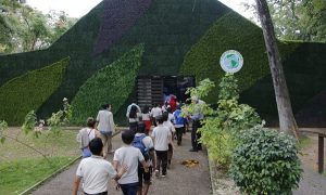 Espera Centro visita de mil niños a Casa de la Tierra con el Programa de Turismo Educativo