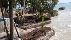 Clausura PROFEPA relleno con piedra dentro de la Bahía de Chetumal, Quintana Roo