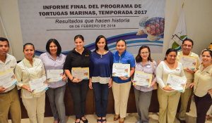 Duplica Puerto Morelos metas en programa de protección de Tortugas Marinas