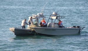 Monitorea UNESCO Patrimonio Mundial Islas y ANP del Golfo de California