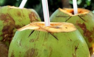 Agua de coco regenera la flora intestinal y rehidrata en época de calor: IMSS