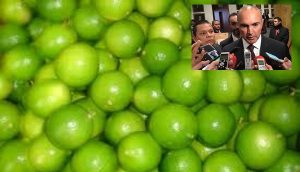 Busca SAGARPA frenar incremento en el precio del limón: Pepe Calzada