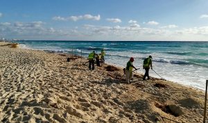 Fortalece gobierno de Remberto Estrada limpieza de playas en Cancún