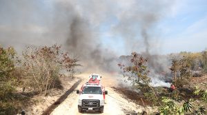 Atiende el H. Cuerpo de Bomberos de Cancún incendio en antiguo basurero