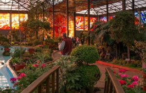 Jardines botánicos, centros de cultura ecológica