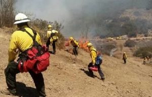 Incendios forestales, 99% provocados por el hombre