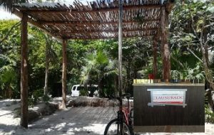 Clausura PROFEPA proyecto dentro del ANP Parque Nacional Tulum, en Quintana Roo