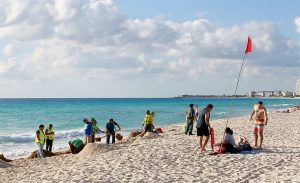 Retiro de  Sargazo  en Playas  Públicas en Cancún