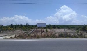 Clausura PROFEPA predio por cambio de uso de suelo y sin autorización en Telchac Puerto, Yucatán