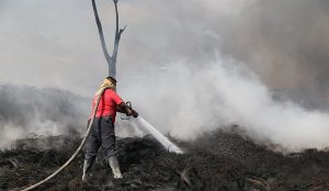 Prevención de incendios forestales en Benito Juárez