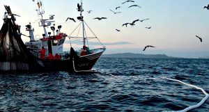 Las pesquerías mexicanas un mar de éxito y riquezas