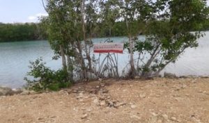 Clausura PROFEPA obras y actividades de relleno de humedal costero en Quintana Roo