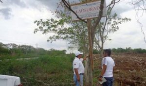 Clausura PROFEPA predio por cambio de uso de suelo, sin autorización en Temax, Yucatán