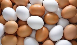 Aumento al precio del huevo no es por influenza aviar: SAGARPA